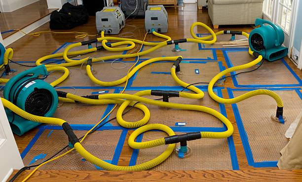 Professional Burst Pipe Water Damage technician working in Stirling, NJ